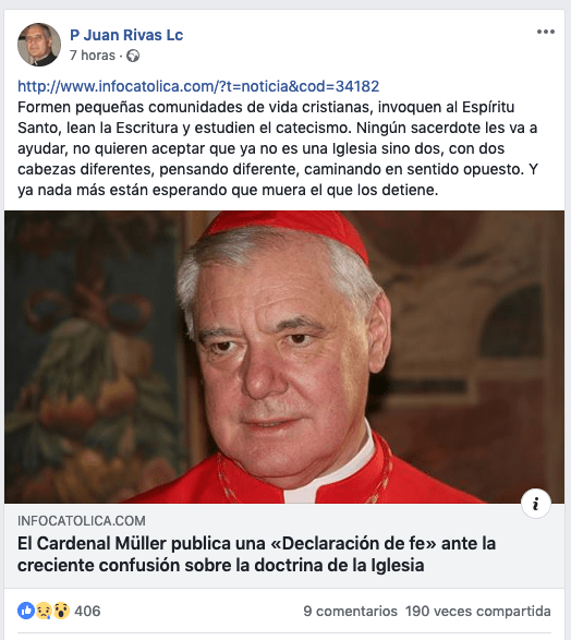 Cardenal Muller